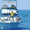 Amalfi Cinco Tenerife-Hajózás és bálnales egy jacht fedélzetén - Image 7