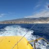 Parascending