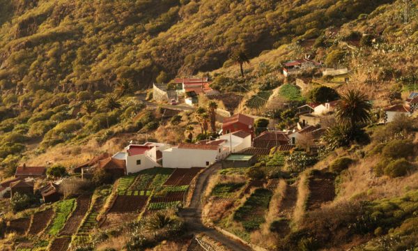 Holiday in Tenerife, Túra, VIP, Sajt , Masca,