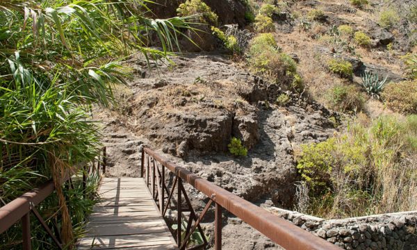 Holiday in Tenerife, Túra, VIP, Sajt , Masca,