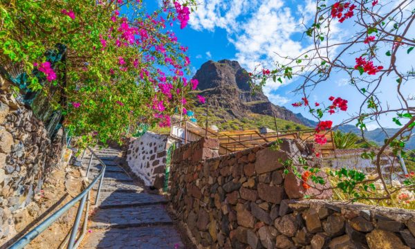 Holiday in Tenerife, Túra, VIP, Sajt , Masca,