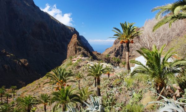 Holiday in Tenerife, Túra, VIP, Sajt , Masca,