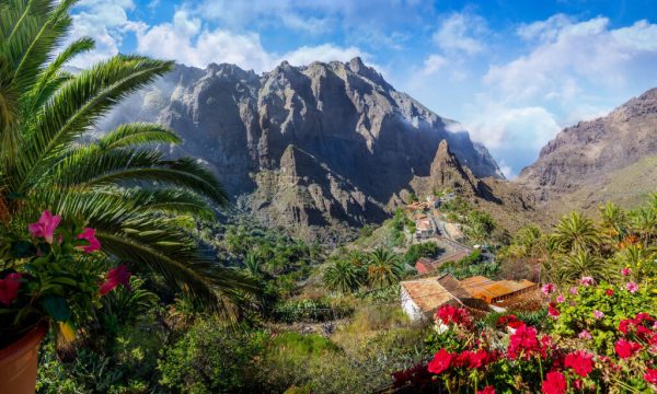 Holiday in Tenerife, Túra, VIP, Sajt , Masca,