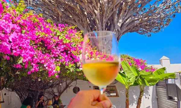Holiday in Tenerife, Programok magyarul, Tenerife kincsei, Túra, VIP