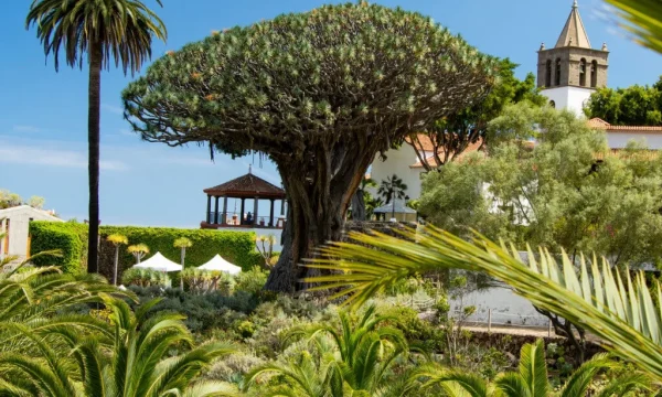 Holiday in Tenerife, Programok magyarul, Tenerife kincsei, Túra, VIP
