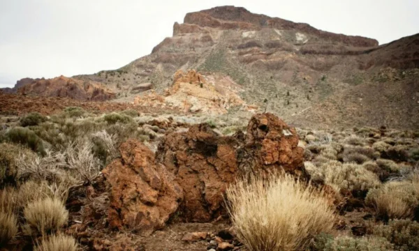 Holiday in Tenerife, Túra, VIP, programok, Magyarul, Bodega, Teide