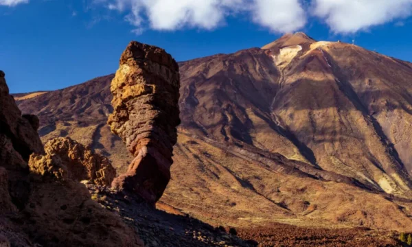 Holiday in Tenerife, Túra, VIP, programok, Magyarul, Bodega, Teide