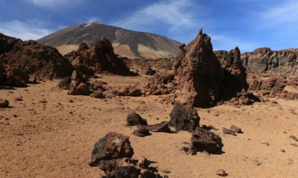Holiday in Tenerife, Túra, VIP, programok, Magyarul, Bodega, Teide