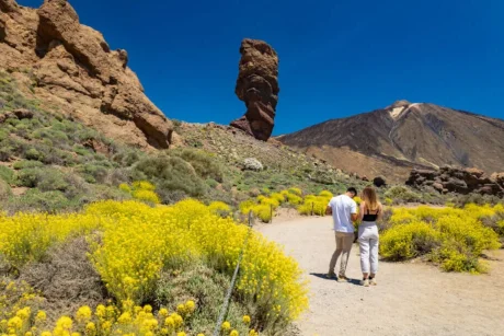 Holiday in Tenerife, Túra, VIP, programok, Magyarul, Bodega, Teide