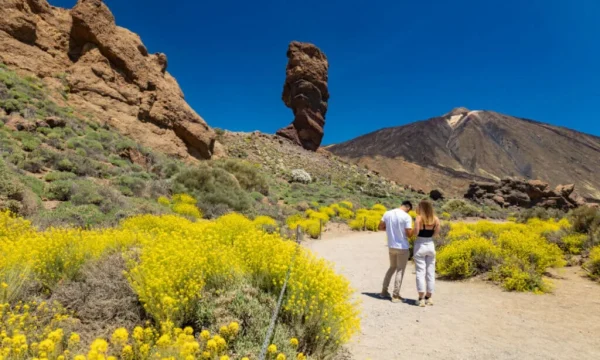 Holiday in Tenerife, Túra, VIP, programok, Magyarul, Bodega, Teide
