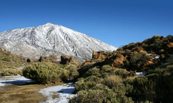 Holiday in Tenerife, Túra, VIP, programok, Magyarul, Bodega, Teide