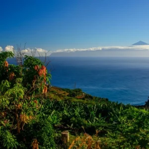 Holiday in Tenerife. VIP, Túra, La Gomera, magyar nyelvű