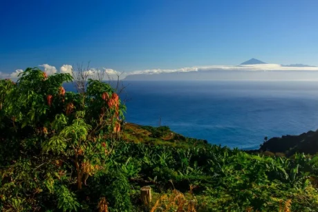 Holiday in Tenerife. VIP, Túra, La Gomera, magyar nyelvű