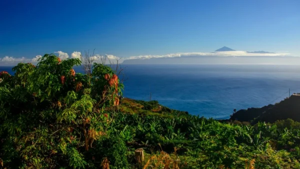 Holiday in Tenerife. VIP, Túra, La Gomera, magyar nyelvű